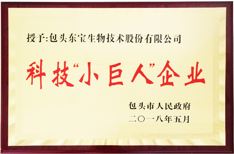 豪门国际官网-钻营健全,你我一路成长